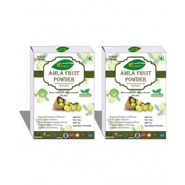 Kashvy Amla Fruit Powder 400 gm Pack Of 2