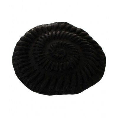 Kesar Zems Stone Vishnu Chakra Shalegram (4.5 cm x 4.5 cm x 1 cm, Black, Pack of 2)