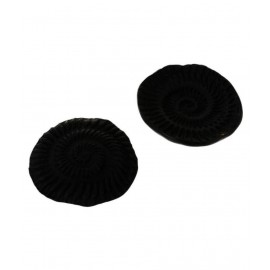 Kesar Zems Stone Vishnu Chakra Shalegram (4.5 cm x 4.5 cm x 1 cm, Black, Pack of 2) Kesar Zems Stone Vishnu Chakra Shalegram (4.5 cm x 4.5 cm x 1 cm, Black, Pack of 2)