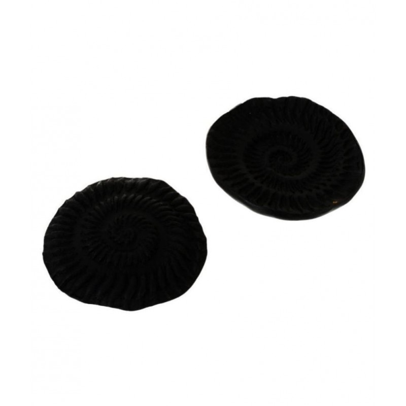 Kesar Zems Stone Vishnu Chakra Shalegram (4.5 cm x 4.5 cm x 1 cm, Black, Pack of 2)
