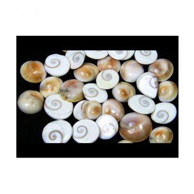 Kriwin 11 pcs Original Gomti / Gomati Chakra