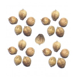 LAGHU NARIYAL SRI PHAL 21 PCS LAGHU NARIYAL SRI PHAL 21 PCS
