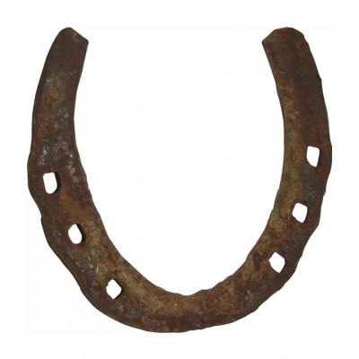 Lakhdatar - Iron Ghode Ki Naal ( Pack of 1 )