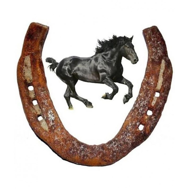 Lakhdatar - Iron Ghode Ki Naal ( Pack of 1 )