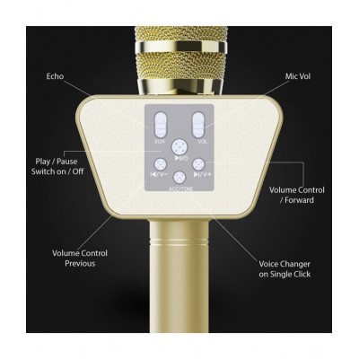 Landmark LM-BT-55-GD Stylish Wireless Rechargeable Bluetooth Karaoke Microphone for DJ Party & Singing