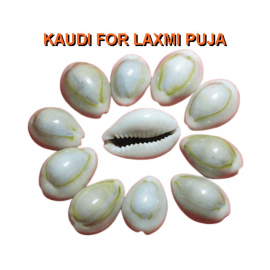 Laxmi Kaudi/Kowdi/Kowri for Goddess Lakshmi Pooja Laxmi Kaudi/Kowdi/Kowri for Goddess Lakshmi Pooja