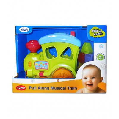 Little's Multciolor Musical Train