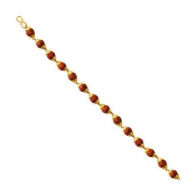 Loard Shiva Rudraksha Pure  Bracelet  - Pack of 1