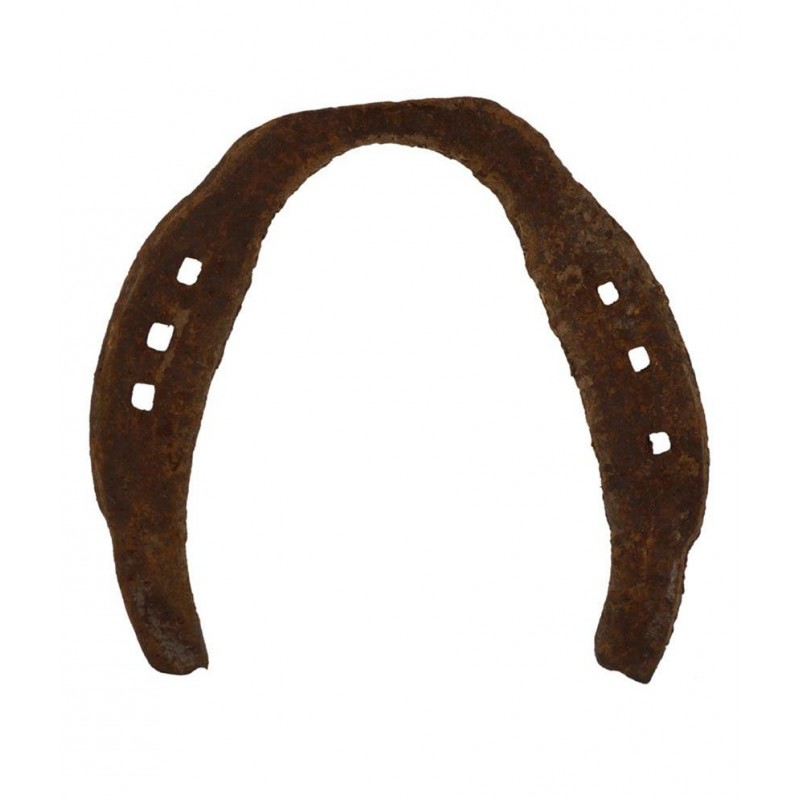 Lotus Collection Asli Ghode Ki Naal - Horse-shoe Lotus Collection Asli Ghode Ki Naal - Horse-shoe
