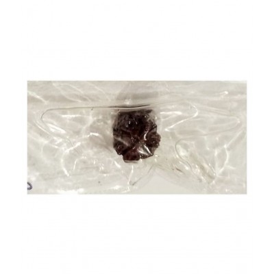 MANSRI TRADES 4 MUKHI RUDRAKSHA NATURAL ORIGINAL WITH LAB CERTIFICATE-FOUR FACE RUDRAKSH-CHAAR MUKHI RUDRAKSHA