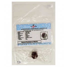 MANSRI TRADES 4 MUKHI RUDRAKSHA NATURAL ORIGINAL WITH LAB CERTIFICATE-FOUR FACE RUDRAKSH-CHAAR MUKHI RUDRAKSHA MANSRI TRADES 4 MUKHI RUDRAKSHA NATURAL ORIGINAL WITH LAB CERTIFICATE-FOUR FACE RUDRAKSH-CHAAR MUKHI RUDRAKSHA
