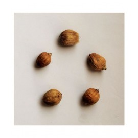 MANSRI TRADES LAGHU NARIYAL/ MINI SMALL COCONUT/ SHREEPHAL/ SHRIFAL SET OF 5 PIECES MANSRI TRADES LAGHU NARIYAL/ MINI SMALL COCONUT/ SHREEPHAL/ SHRIFAL SET OF 5 PIECES