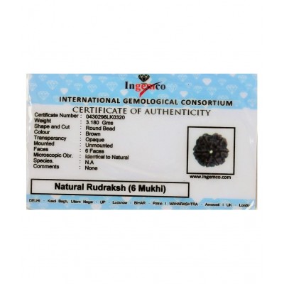 MANSRI TRADES SIX MUKHI NATURAL RUDRAKSHA ORIGINAL WITH LAB CERTIFICATE- 6 FACE RUDRAKSH- CHHEH MUKHI RUDRAKSHA MANSRI TRADES SIX MUKHI NATURAL RUDRAKSHA ORIGINAL WITH LAB CERTIFICATE- 6 FACE RUDRAKSH- CHHEH MUKHI RUDRAKSHA