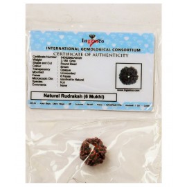 MANSRI TRADES SIX MUKHI NATURAL RUDRAKSHA ORIGINAL WITH LAB CERTIFICATE- 6 FACE RUDRAKSH- CHHEH MUKHI RUDRAKSHA MANSRI TRADES SIX MUKHI NATURAL RUDRAKSHA ORIGINAL WITH LAB CERTIFICATE- 6 FACE RUDRAKSH- CHHEH MUKHI RUDRAKSHA