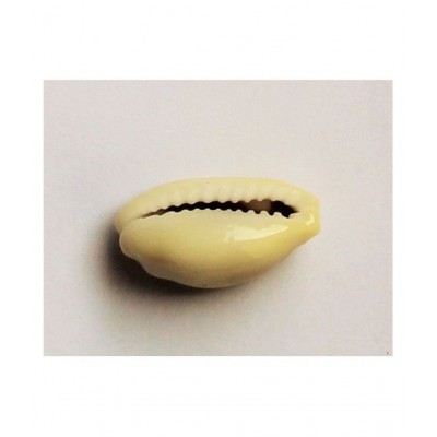 MANSRI TRADES YELLOW KAUDI PEELI COWRIE LAKSHMI GAVVALU KOWDI/KAWDI SET OF 5 PIECES MANSRI TRADES YELLOW KAUDI PEELI COWRIE LAKSHMI GAVVALU KOWDI/KAWDI SET OF 5 PIECES