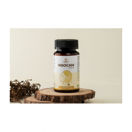 MARMA - Tablets For Headache ( Pack of 1 )