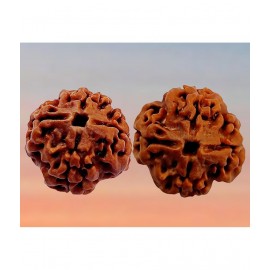 M.K.EXPORT 4 Mukhi Rudraksha Bead 4Faced Rudraksha From Nepal Original & Genuine lab certified 4 Mukhi rudraksha