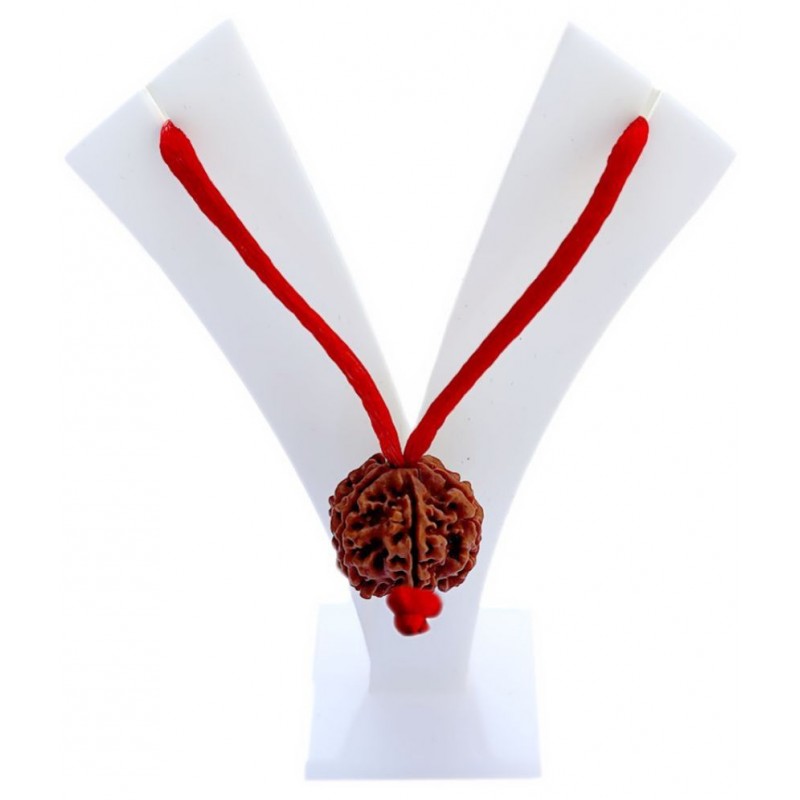 M.K.EXPORT 5 Mukhi Brown Rudraksha Lab Certified Original Nepal Originated  16-22 mm Bead Size Wood