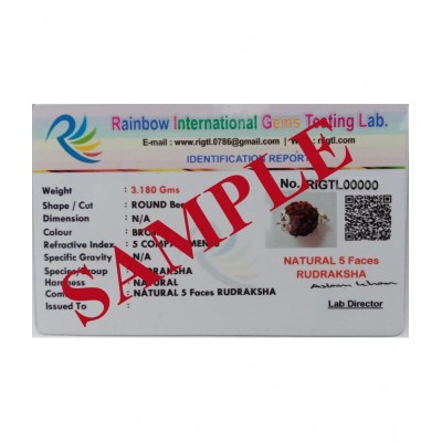 M.K.EXPORT 5Mukhi/Face Nepali Rudraksha Silver pletad Pendant Locket Natural & lab Certified for Men & Women