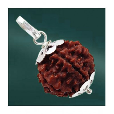 M.K.EXPORT 6Mukhi/face Nepali Rudraksha Silver pletad Pendant Natural & lab Certified for Men & Women Locket