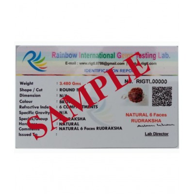 M.K.EXPORT 6Mukhi/face Nepali Rudraksha Silver pletad Pendant Natural & lab Certified for Men & Women Locket