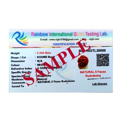 M.K.EXPORT Certified orginel 5 mukhi Nepali rudraksha 5 face natural rudraksha beads for man and women