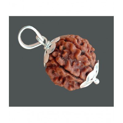 M.K.EXPORT Lab Certified 6 Mukhi/6 Face Nepali Rudraksha Silver pleted White Metal Pendant,Locket