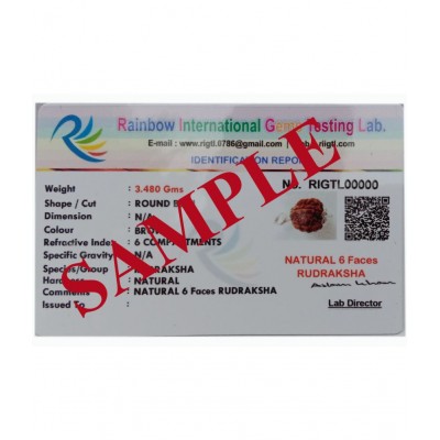 M.K.EXPORT Lab Certified 6 Mukhi/6 Face Nepali Rudraksha Silver pleted White Metal Pendant,Locket