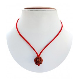 M.K.EXPORT Lab Certified Original 4 Mukhi Brown Rudraksha Nepal Originated Bead Size 15-18mm with red thread