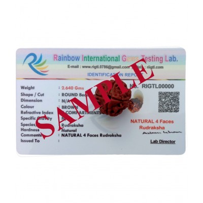 M.K.EXPORT Lab Certified orginel 4 mukhi Nepali rudraksha 4 face natural rudraksha beads for man and women