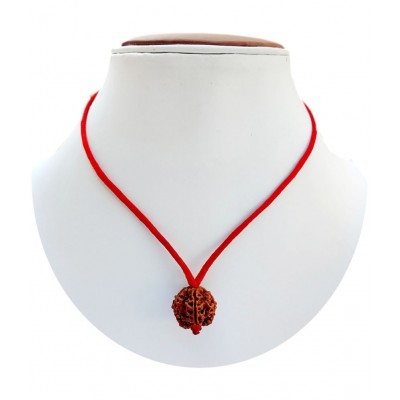 M.K.EXPORT Lab Certified orginel 6 mukhi Nepali rudraksha 5 face natural rudraksha beads for man and women