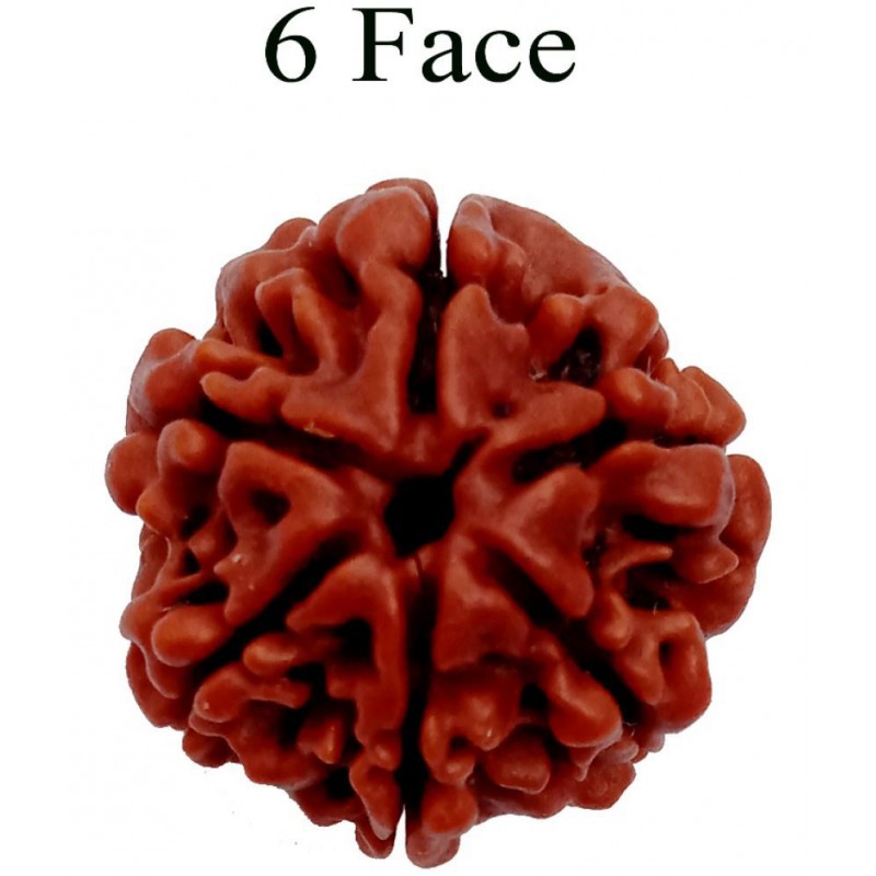 M.K.EXPORT Lab Certified orginel 6 mukhi Nepali rudraksha 5 face natural rudraksha beads for man and women