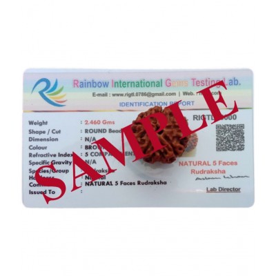 M.K.EXPORT Lab certified 5 face 5 mukhi Rudraksha 5 Pcs Almighty Genuine Nepali Rudraksha