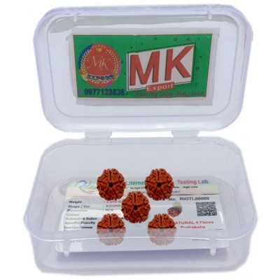 M.K.EXPORT Lab certified 5 face 5 mukhi Rudraksha 5 Pcs Almighty Genuine Nepali Rudraksha