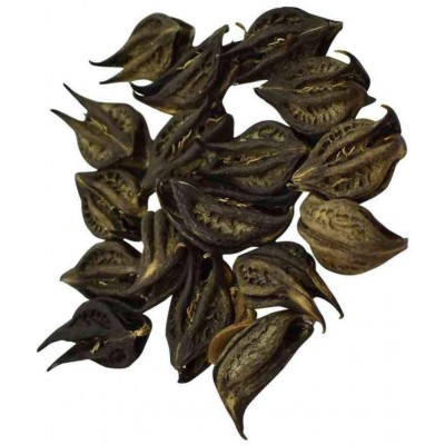 M.K.EXPORT Natural 21 pieces Sacred Bat Head Root Seeds Black  - Baghnokhi - Wood Devil - Evil Pods