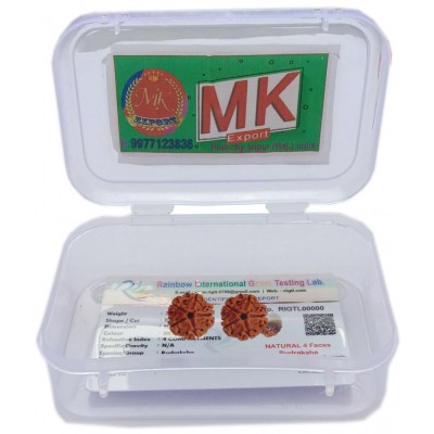 M.K.EXPORT Nepali Five Faced 5 Mukhi Rudraksha - 2Pcs Paanch Mukhi Rudraksha Brown Color Lab certified