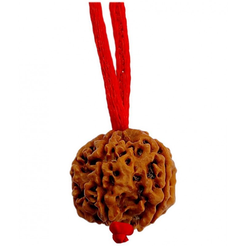 M.K.EXPORT certified 4Mukhi Siddha Rudraksha Beads+red thread Char mukhi Rudraksha 4 faced rudraksham