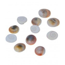 MNA Marble Gomti Chakra
