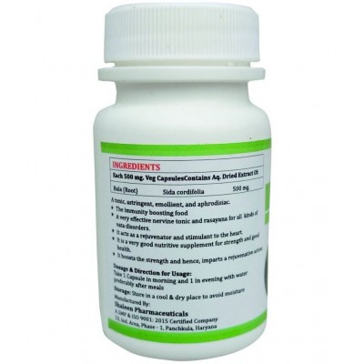 MORSAN HEALTHCARE - Capsules For Immunity ( Pack of 1 ) MORSAN HEALTHCARE - Capsules For Immunity ( Pack of 1 )