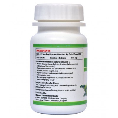 MORSAN HEALTHCARE Amla (Amlaki) Capsules Capsule 500 mg Pack Of 1