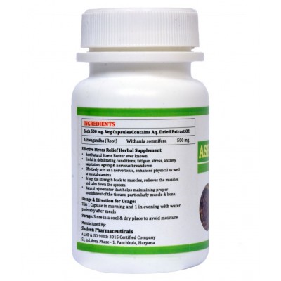 MORSAN HEALTHCARE Ashwagandha 500 mg and Giloy Capsule 500 mg Pack Of 2
