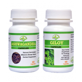MORSAN HEALTHCARE Ashwagandha 500 mg and Giloy Capsule 500 mg Pack Of 2