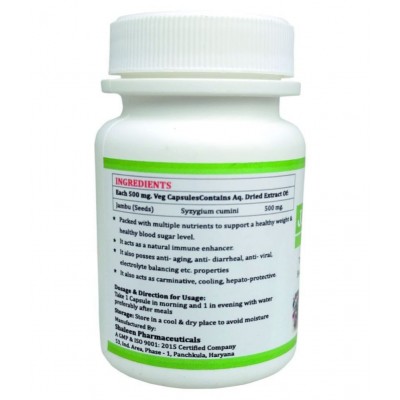 MORSAN HEALTHCARE Jambubeej Capsules Capsule 500 mg Pack Of 1