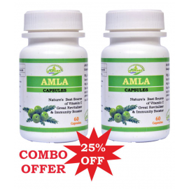 MORSAN HEALTHCARE MORSAN AMLA CAPSULES Capsule 500 mg Pack Of 2