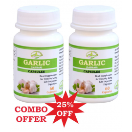 MORSAN HEALTHCARE MORSAN' GARLIC CAPSULES Capsule 500 mg Pack Of 2