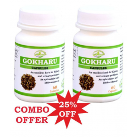 MORSAN HEALTHCARE MORSAN' GOKHARU CAPSULES Capsule 500 mg Pack Of 2