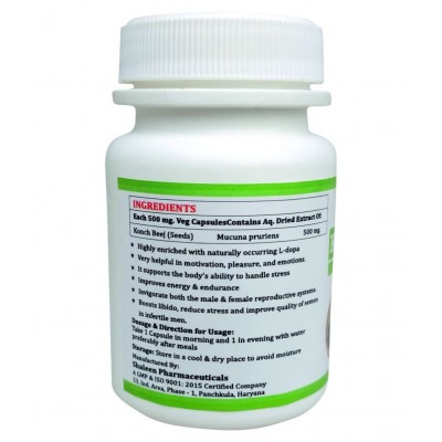MORSAN HEALTHCARE MORSAN' KONCH BEEJ CAPSULES Capsule 500 mg Pack Of 2