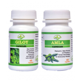 MORSAN HEALTHCARE Morsan's Giloy and Amalki Capsule 500 mg