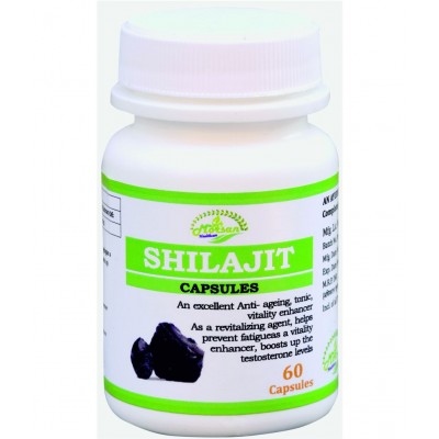 MORSAN HEALTHCARE Shilajit Capsule 500 mg Pack Of 1
