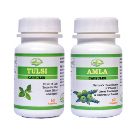 MORSAN HEALTHCARE Tulsi (Ocimum sanctum) and Amalki Capsule 500 mg Pack Of 2